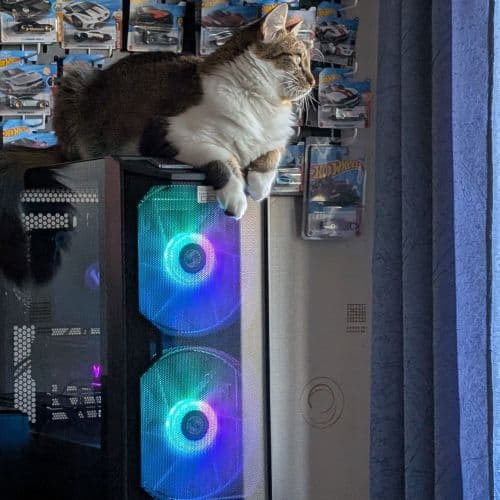 avatar