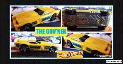The Gov'ner