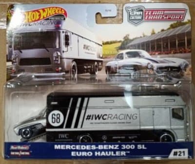 Mercedes-Benz 300 SL & Euro Hauler