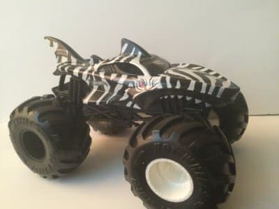 Shark Wreak Zebra Shark