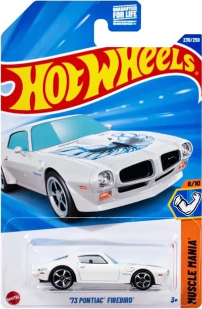 73 Pontiac Firebird