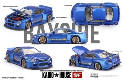 Nissan Skyline GT-R (R34) Kaido Works Shinjuku V2