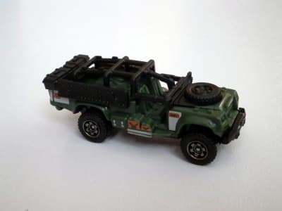 Sahara Survivor