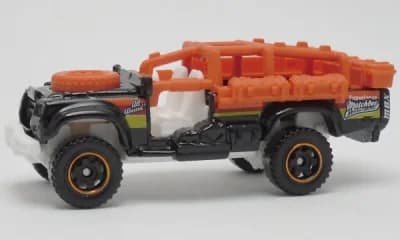 Sahara Survivor