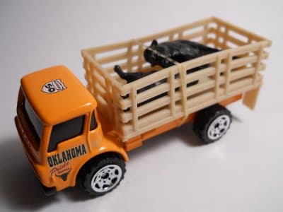 Cattle Truck