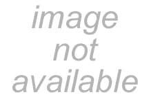 Citroën and Motorcycle Trailer