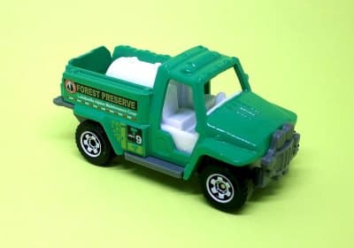 Wildfire Rescue