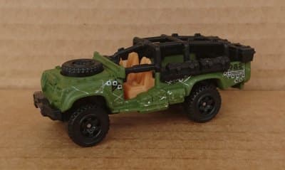 Sahara Survivor