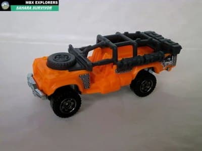 Sahara Survivor