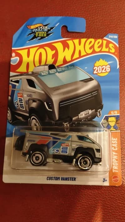 Custom Vanster